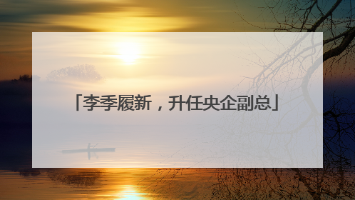 李季履新，升任央企副总
