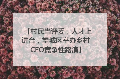 村民当评委，人才上讲台，望城区举办乡村CEO竞争性路演