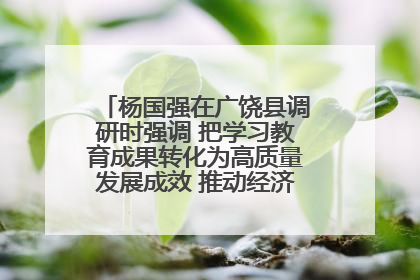 杨国强在广饶县调研时强调 把学习教育成果转化为高质量发展成效 推动经济稳健向好进中提质