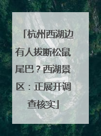杭州西湖边有人拔断松鼠尾巴？西湖景区：正展开调查核实
