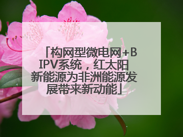 构网型微电网+BIPV系统，红太阳新能源为非洲能源发展带来新动能