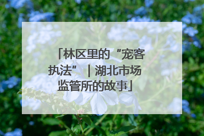 林区里的“宠客执法”｜湖北市场监管所的故事