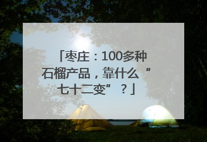 枣庄：100多种石榴产品，靠什么“七十二变”？