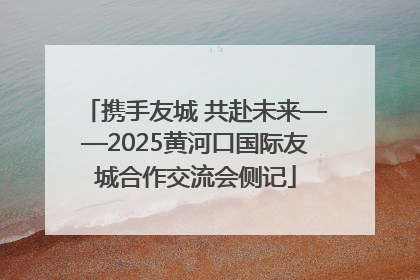携手友城 共赴未来——2025黄河口国际友城合作交流会侧记