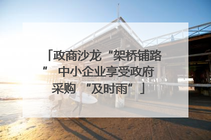 政商沙龙“架桥铺路” 中小企业享受政府采购 “及时雨”