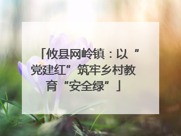 攸县网岭镇：以“党建红”筑牢乡村教育“安全绿”