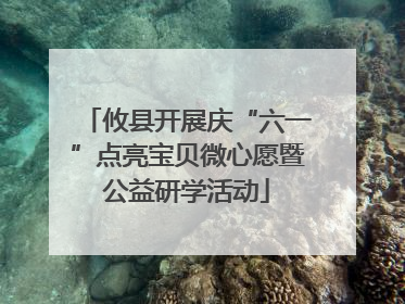 攸县开展庆“六一”点亮宝贝微心愿暨公益研学活动