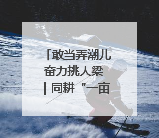 敢当弄潮儿 奋力挑大梁｜同耕“一亩田”的崇川实践
