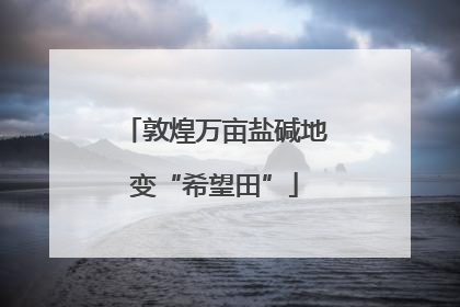敦煌万亩盐碱地变“希望田”