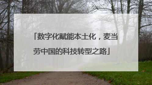 数字化赋能本土化，麦当劳中国的科技转型之路