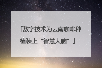 数字技术为云南咖啡种植装上“智慧大脑”
