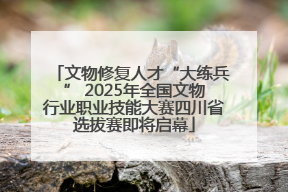 文物修复人才“大练兵” 2025年全国文物行业职业技能大赛四川省选拔赛即将启幕