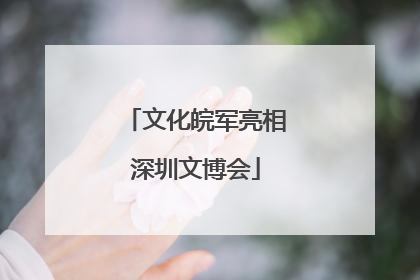 文化皖军亮相深圳文博会