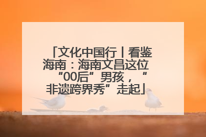 文化中国行丨看鉴海南：海南文昌这位“00后”男孩，“非遗跨界秀”走起