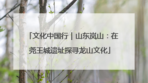 文化中国行｜山东岚山：在尧王城遗址探寻龙山文化