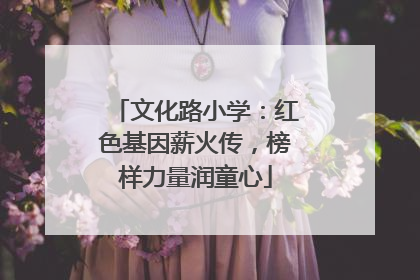 文化路小学：红色基因薪火传，榜样力量润童心
