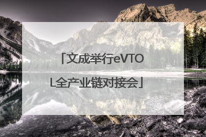 文成举行eVTOL全产业链对接会