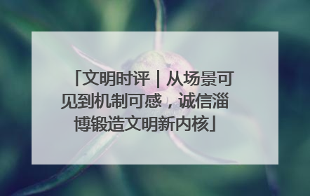 文明时评｜从场景可见到机制可感，诚信淄博锻造文明新内核