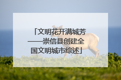 文明花开满城芳——崇信县创建全国文明城市综述