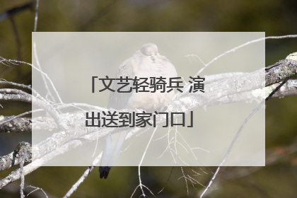 文艺轻骑兵 演出送到家门口