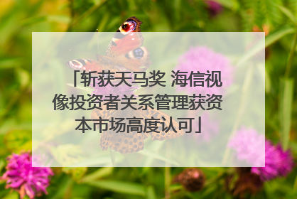 斩获天马奖 海信视像投资者关系管理获资本市场高度认可