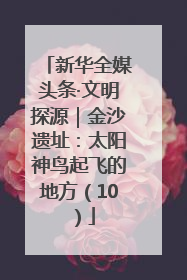 新华全媒头条·文明探源｜金沙遗址：太阳神鸟起飞的地方（10）
