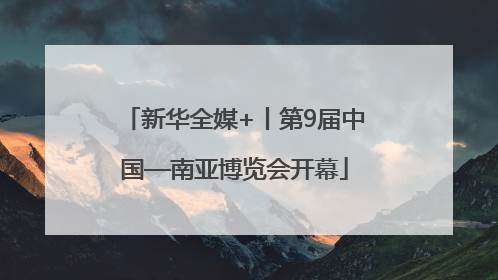 新华全媒+丨第9届中国—南亚博览会开幕