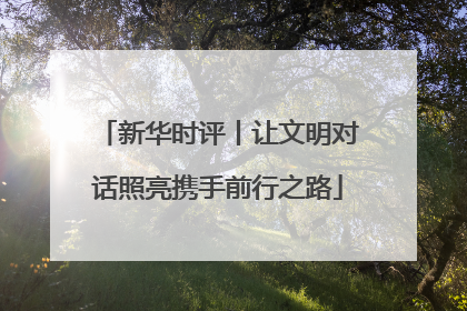新华时评丨让文明对话照亮携手前行之路