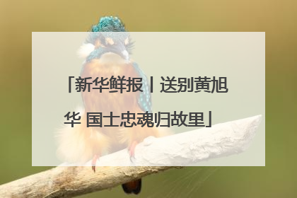 新华鲜报丨送别黄旭华 国士忠魂归故里