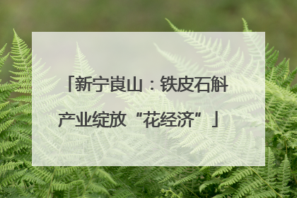 新宁崀山：铁皮石斛产业绽放“花经济”