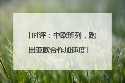 时评：中欧班列，跑出亚欧合作加速度