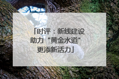 时评：新线建设助力“黄金水道”更添新活力