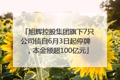 旭辉控股集团旗下7只公司债自6月3日起停牌，本金额超100亿元
