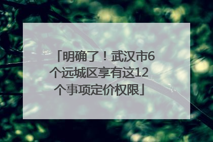 明确了！武汉市6个远城区享有这12个事项定价权限
