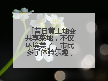 昔日黄土地变共享菜地，不仅环境美了，市民多了体验乐趣，村民还能增收