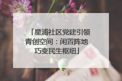 星浦社区党建引领青创空间：闲置阵地巧变民生枢纽