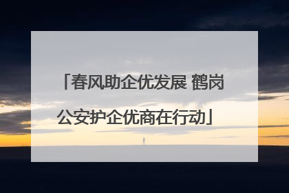 春风助企优发展 鹤岗公安护企优商在行动
