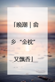 晚潮｜畲乡“金枕”又飘香