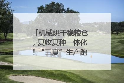 机械烘干稳粮仓，夏收夏种一体化！“三夏”生产跑出加速度｜麦报