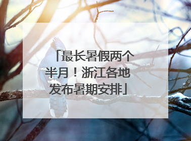 最长暑假两个半月！浙江各地发布暑期安排