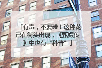 有毒，不要碰！这种花已在街头出现，《甄嬛传》中也有“科普”