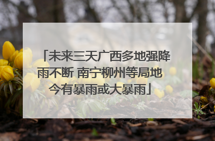 未来三天广西多地强降雨不断 南宁柳州等局地今有暴雨或大暴雨
