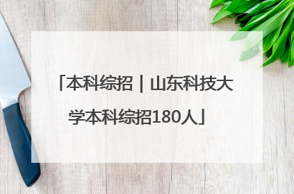 本科综招｜山东科技大学本科综招180人