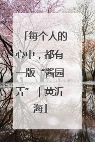 每个人的心中，都有一版“酱园弄”｜黄沂海