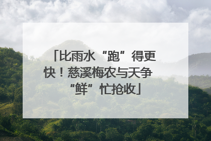 比雨水“跑”得更快！慈溪梅农与天争“鲜”忙抢收