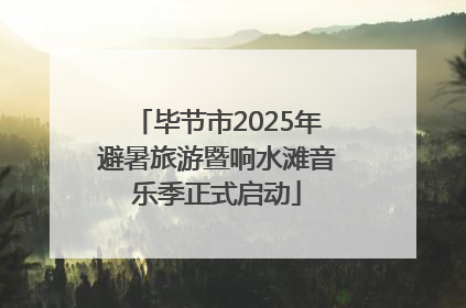 毕节市2025年避暑旅游暨响水滩音乐季正式启动