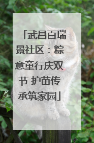 武昌百瑞景社区：粽意童行庆双节 护苗传承筑家园