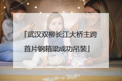 武汉双柳长江大桥主跨首片钢箱梁成功吊装