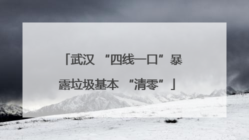 武汉 “四线一口”暴露垃圾基本 “清零”