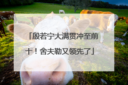殷若宁大满贯冲至前十！舍夫勒又领先了